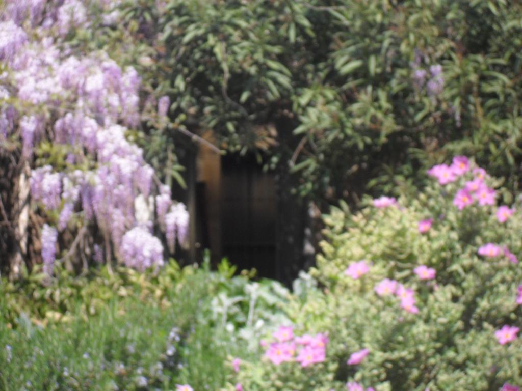 La Rose Panzió Saint-Gervasy Kültér fotó